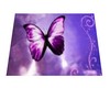 Purple Butterfly Rug
