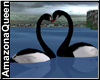 Black Swans w/ trigger