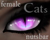 n: furry cats purple /F