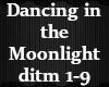 Dancing in the moonlight