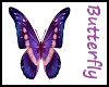 Purple Butterfly