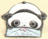 Cute Panda!