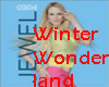 Christmas-Winter Wonder