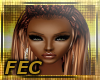 F.E.C BOXBRAIDS2 BRN BLD