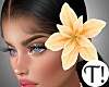 T! Hair Lily Sunset