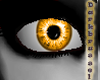 [D] Crystal Eyes: Orange