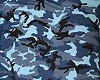 Camo pants V1