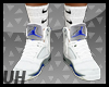 Jordan Blue/White 5 's