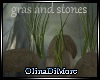 (OD) Gras and rocks