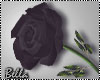 ^B^ Black Rose in hand