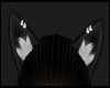 Kitty Ears