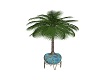 Indoor palm tree