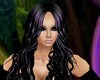 Yo* black-purple Kelly