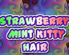 StrawberryMint Kitty Hai