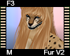 F3 Fur M V2