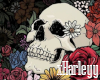 Skull Full BG Cutout