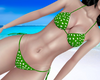 B|BIKINI DOTS B GA ✿