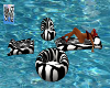 Zebra Pool Play 2