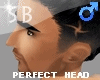 **SB PERFECT HEAD
