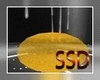 SSD Pose Decor1