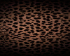 cheetah background