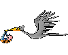 stork animated