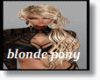 blond/brown long pony
