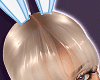 Blue Bunny Ear