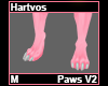 Hartvos Paws M V2