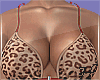 Orchide Set 2