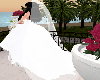 Extra Long Veil