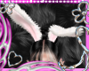 𓆰𓆪 Bunny Ears