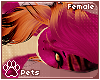 [Pets] Coralia | hair v4