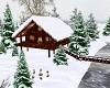 Winter Vacation Home