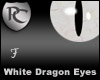 White Dragon Eyes