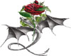 Silver Dragon with Rose