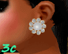 [3c] Diamond Earrings