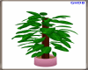 GHD Potted Plant