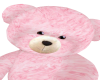 pink Teddy