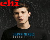 SHAWN MENDES - STITCHES