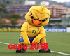 NTH - Sala Copa Brasill