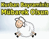 Eid Mubarak Bayram Music