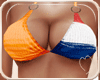 !NC Dutch Busty Bikini