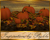 I~Fall Harvest Pumpkins
