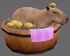 Capybara Bath 2