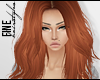 F|  Tang Ginger
