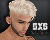 D.X.S Platinum Hair