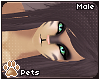 [Pets] Toxi | hair v3