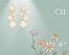 earings VC