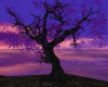 (LN) Tree Purple